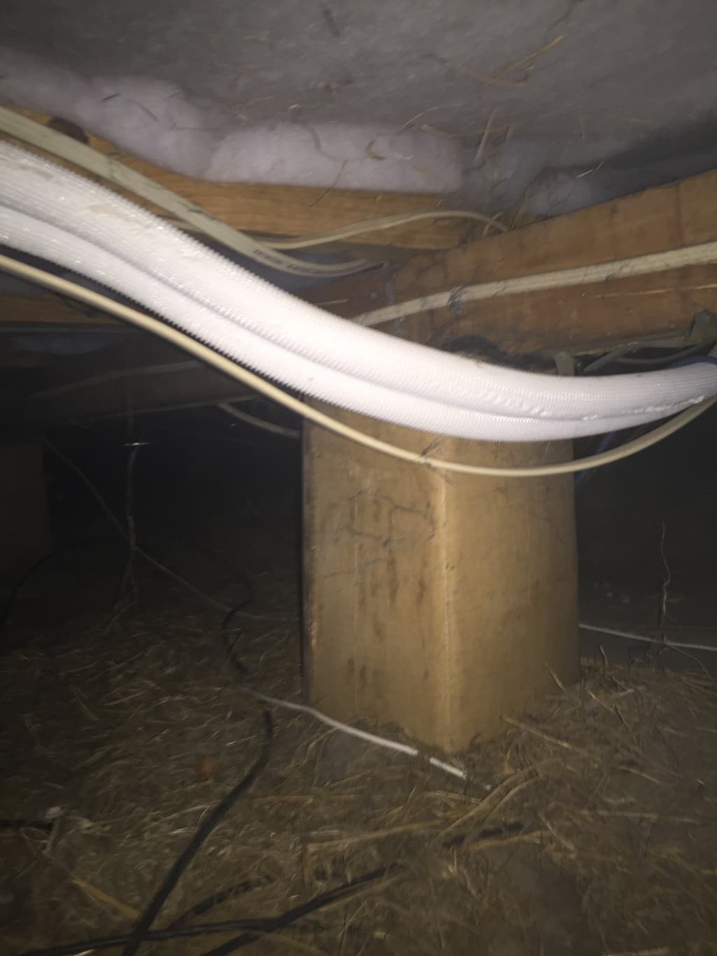 House releveller performing a pile replacement on a Christchurch home