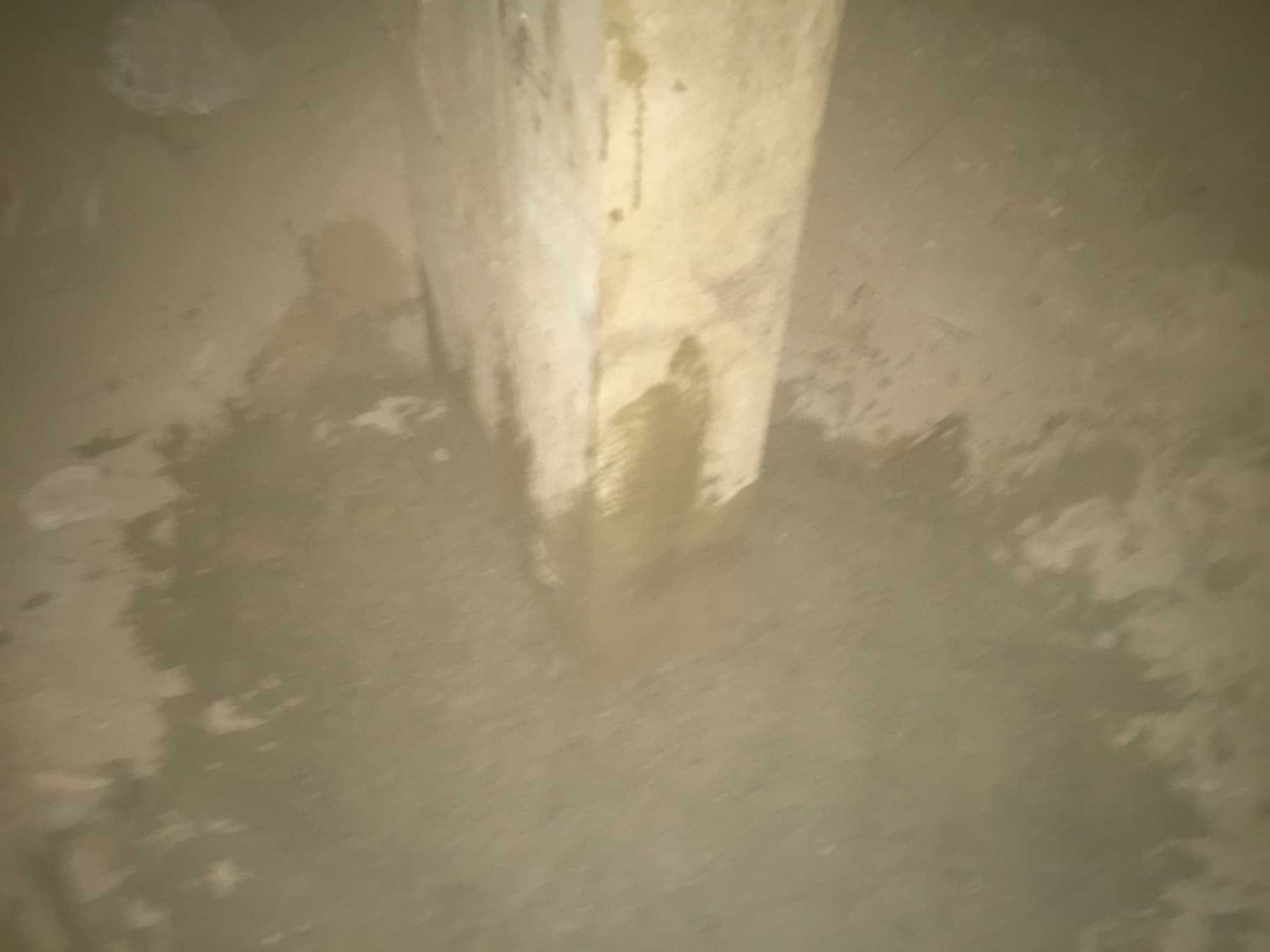 House releveller performing a pile replacement on a Christchurch home