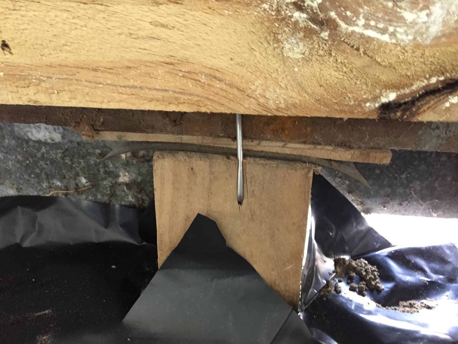 Our experienced team undertaking a pile replacement in Christchurch